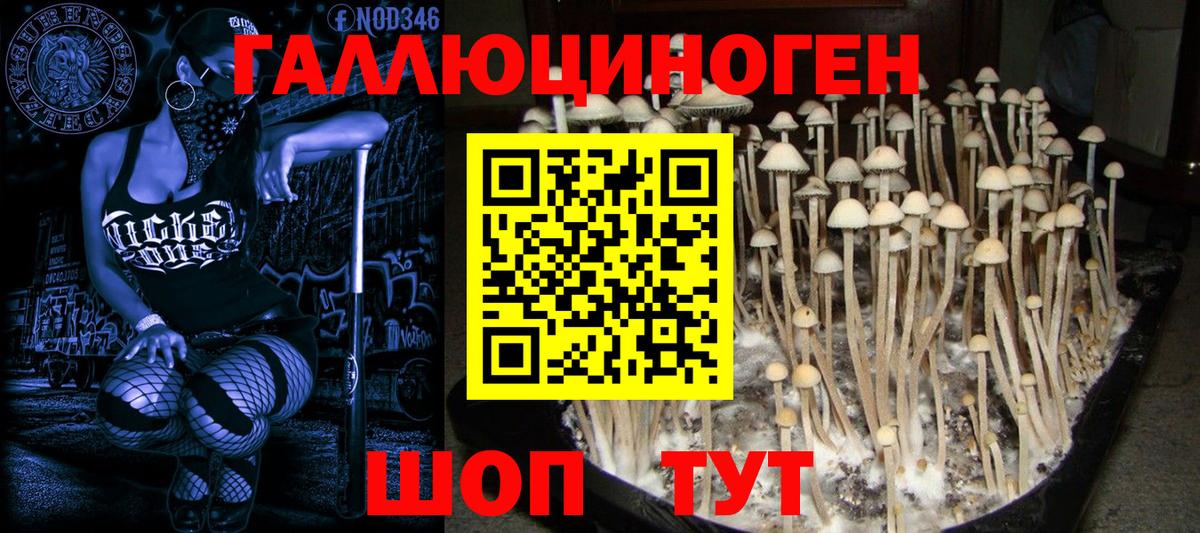 Нижневартовск  Галлюциногенные грибы Cubensis  Вход с VPN  Псилоцибиновые грибы MAGIC MUSHROOMS 