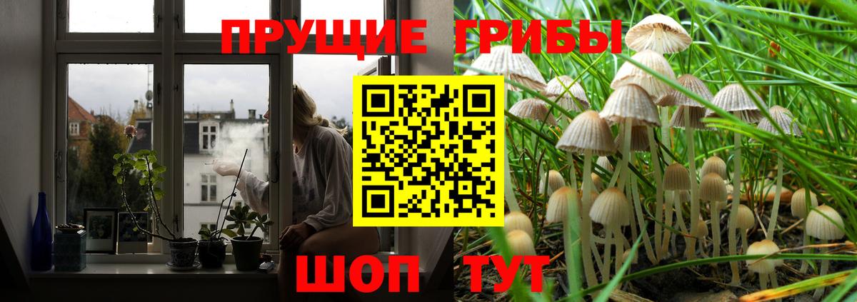 Галлюциногенные грибы Magic Shrooms Нижневартовск